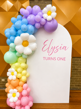 Load image into Gallery viewer, First "1st" Birthday Backdrop Party Pack - For Hire
