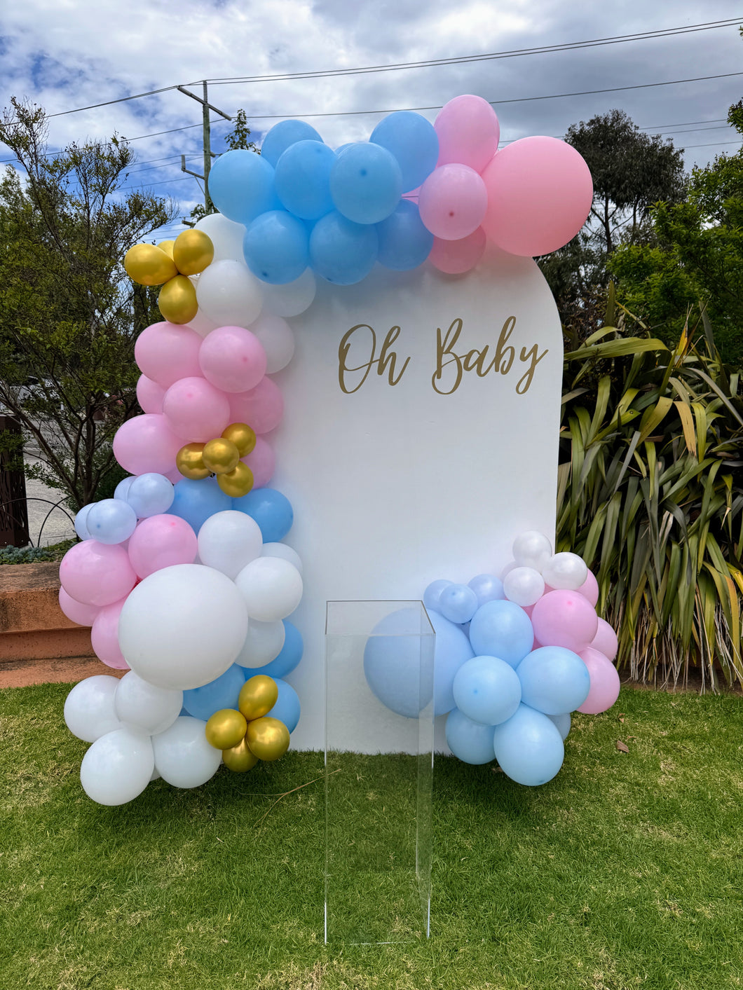 Baby Shower / Gender Reveal Backdrop (with Balloons) - For Hire