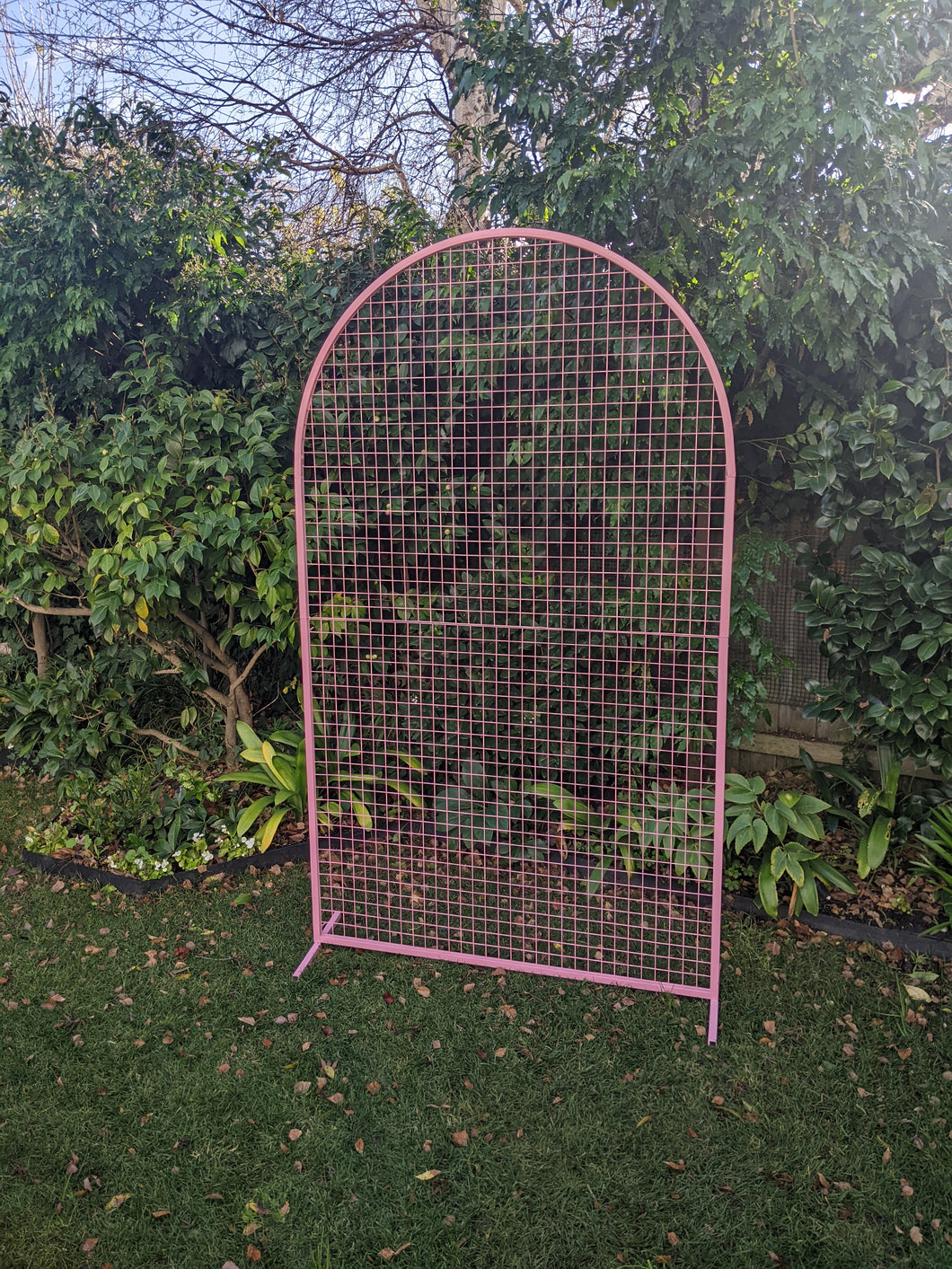 Arch Mesh Frame (Pink) For Hire